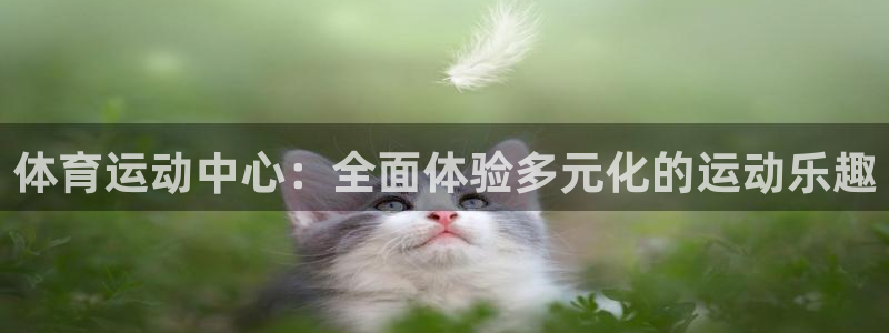 球客岛