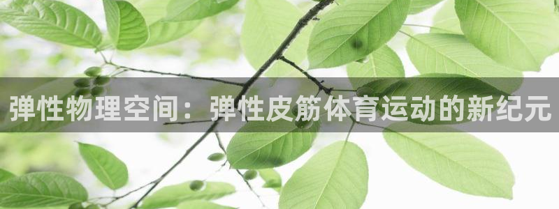 球客岛