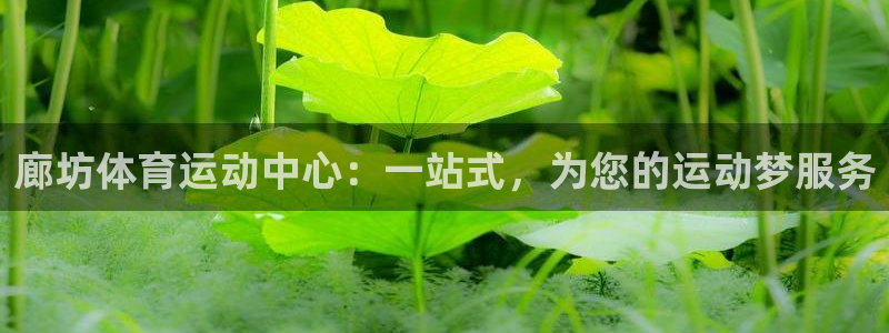 球客岛