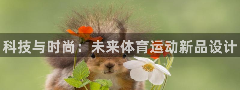 球客岛