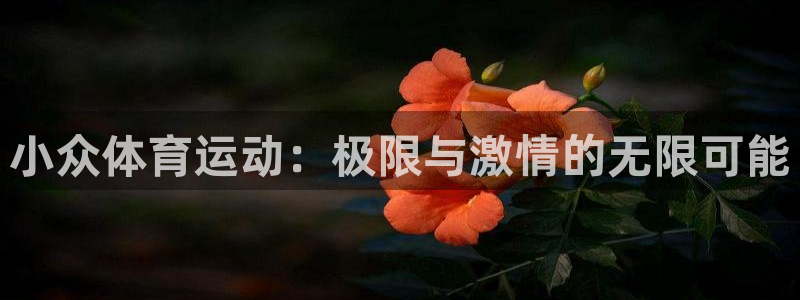 球客岛